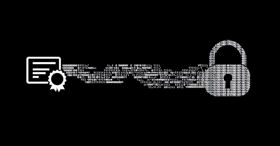 Microsoft Revokes 200 Fraudulent Certificates Used in Rhysida Ransomware Campaign info@thehackernews.com (The Hacker News)