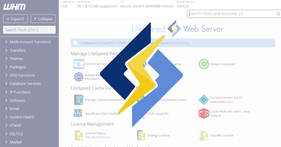LiteSpeed cPanel Plugin CVE-2026-48172 Exploited to Run Scripts as Root info@thehackernews.com (The Hacker News)